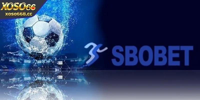 Thông tin tổng quan khi nói về Sbobet