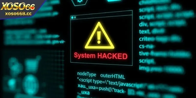 Công dụng đa dạng của tool hack cược