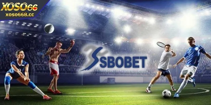 Những loại hình cá cược đặc sắc tại Sbobet